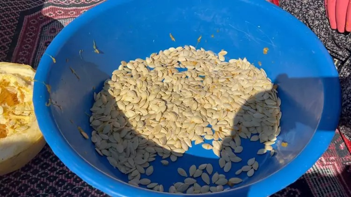 resim-2025-09-26-234850764