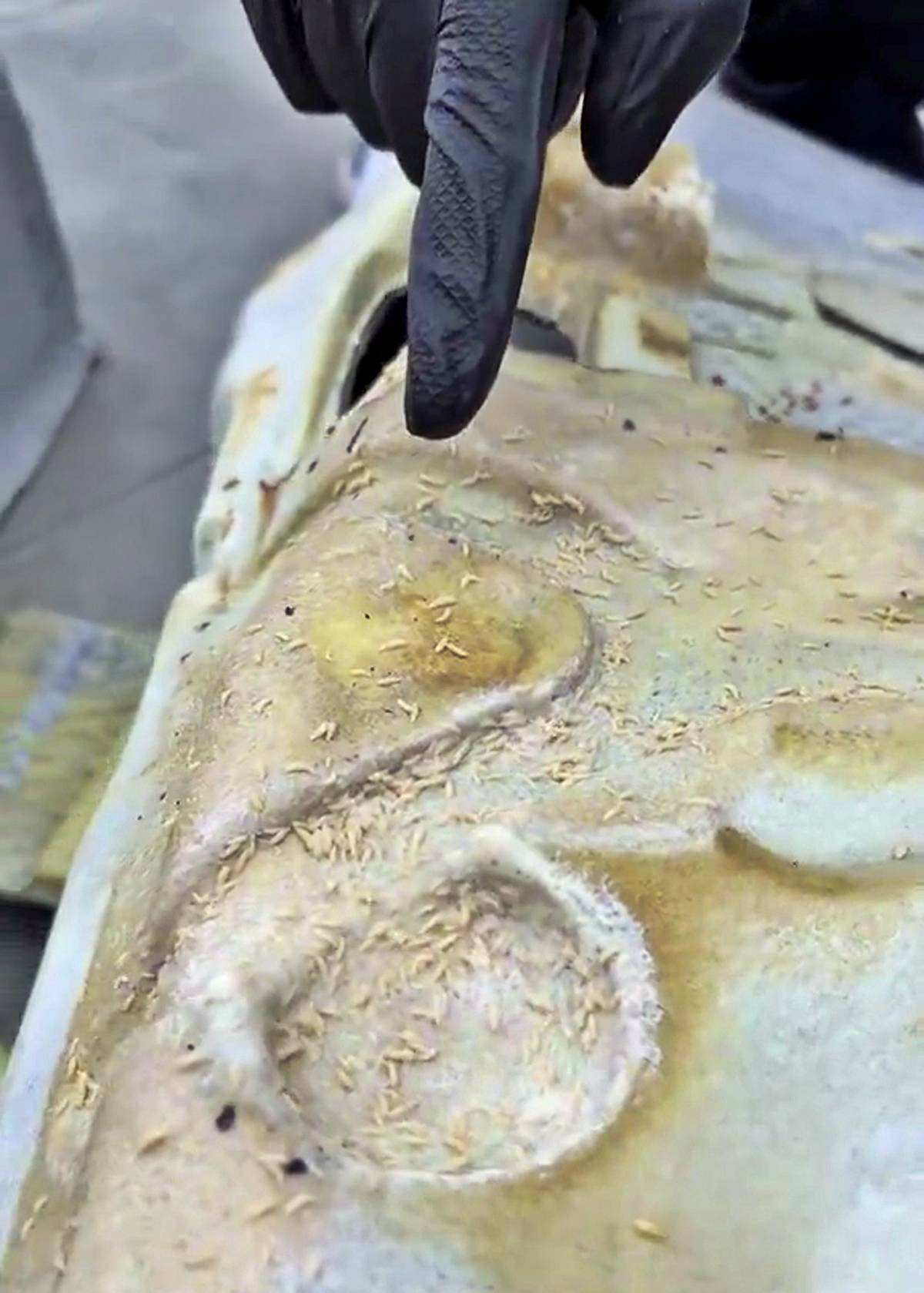 arabaya-sut-dokuldu-kokusu-nasil-cikar-nasil-temizlenir-1