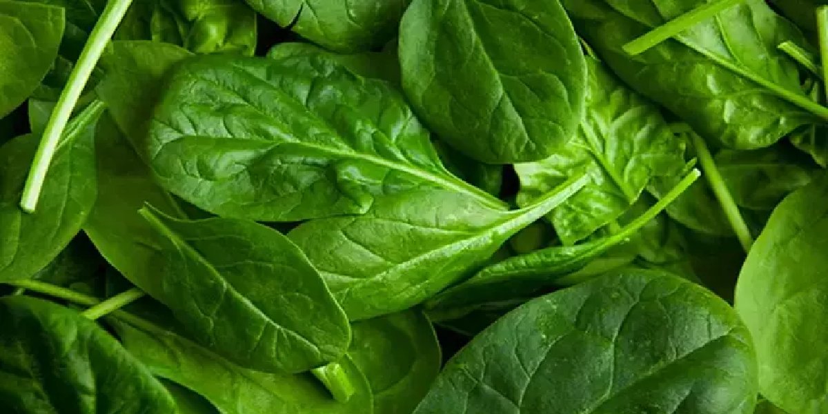 yesil-yaprakli-sebze