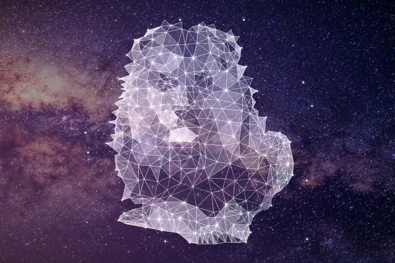 278931-800x533-zodiac-sign-matches-leo