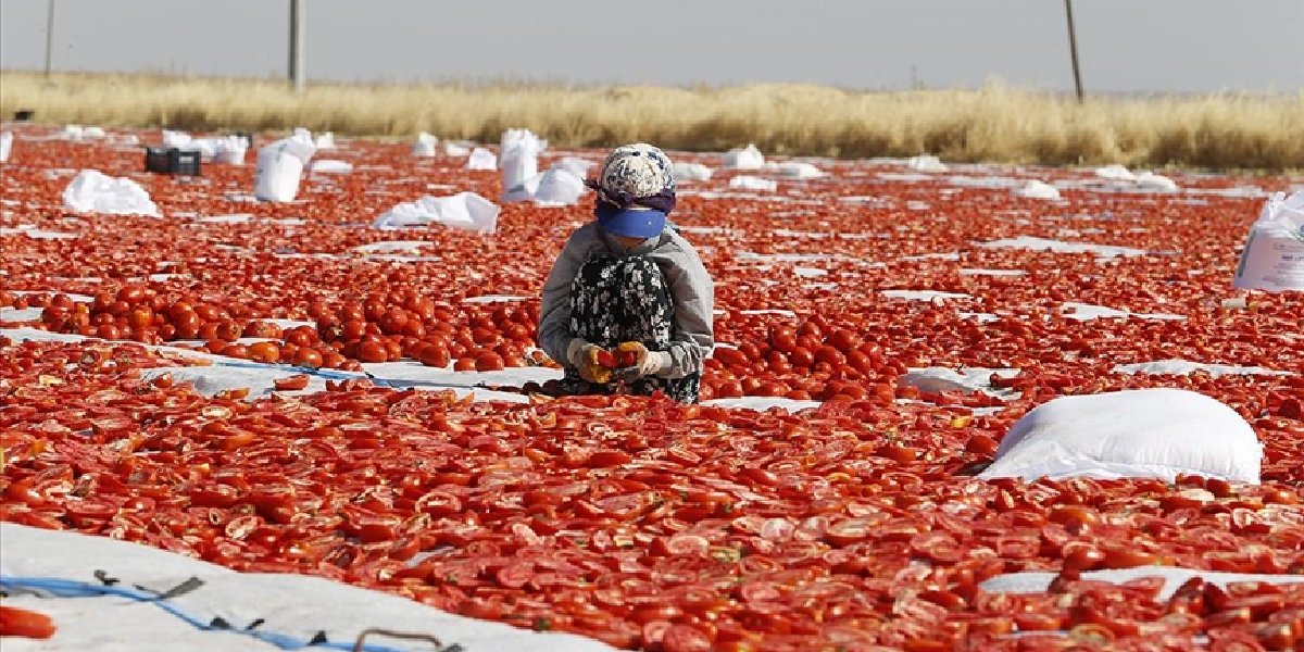 diyarbakir-domates-001