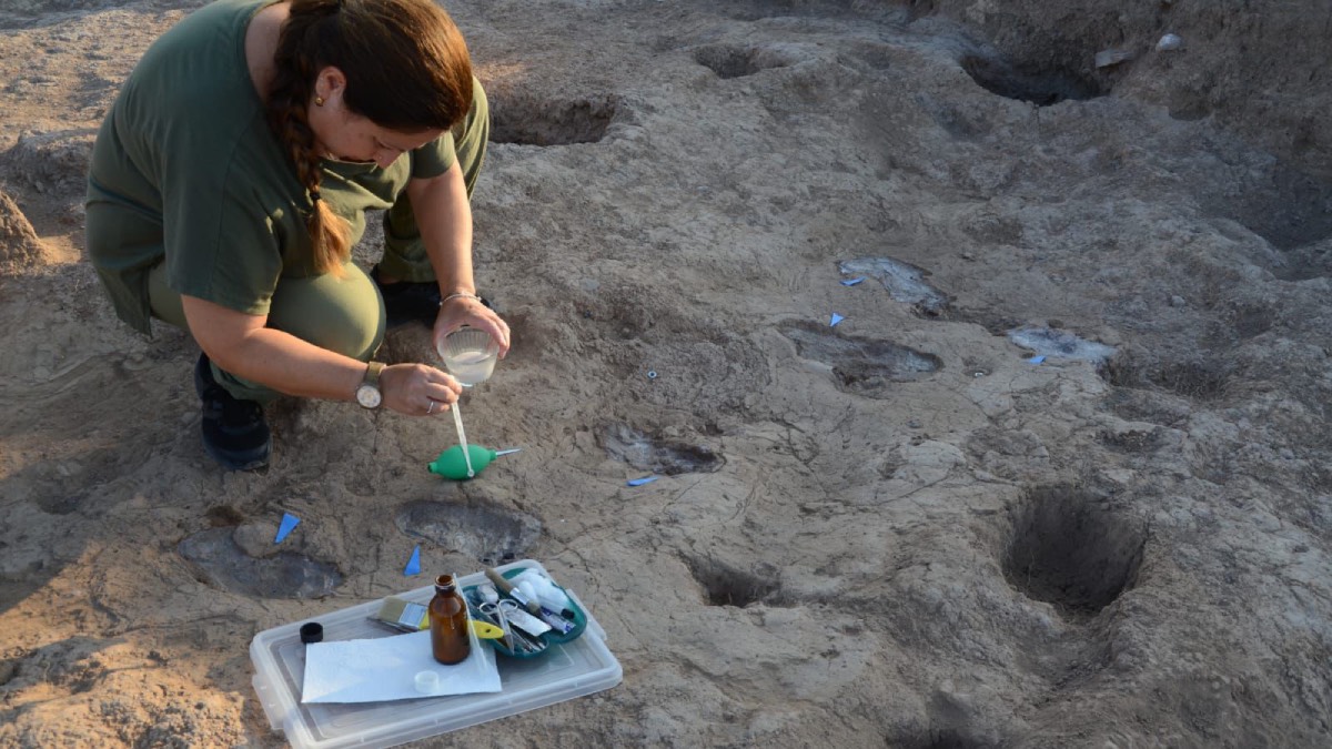 e8f87934-0f9e-4edf-9d3e-d63858f35213-1