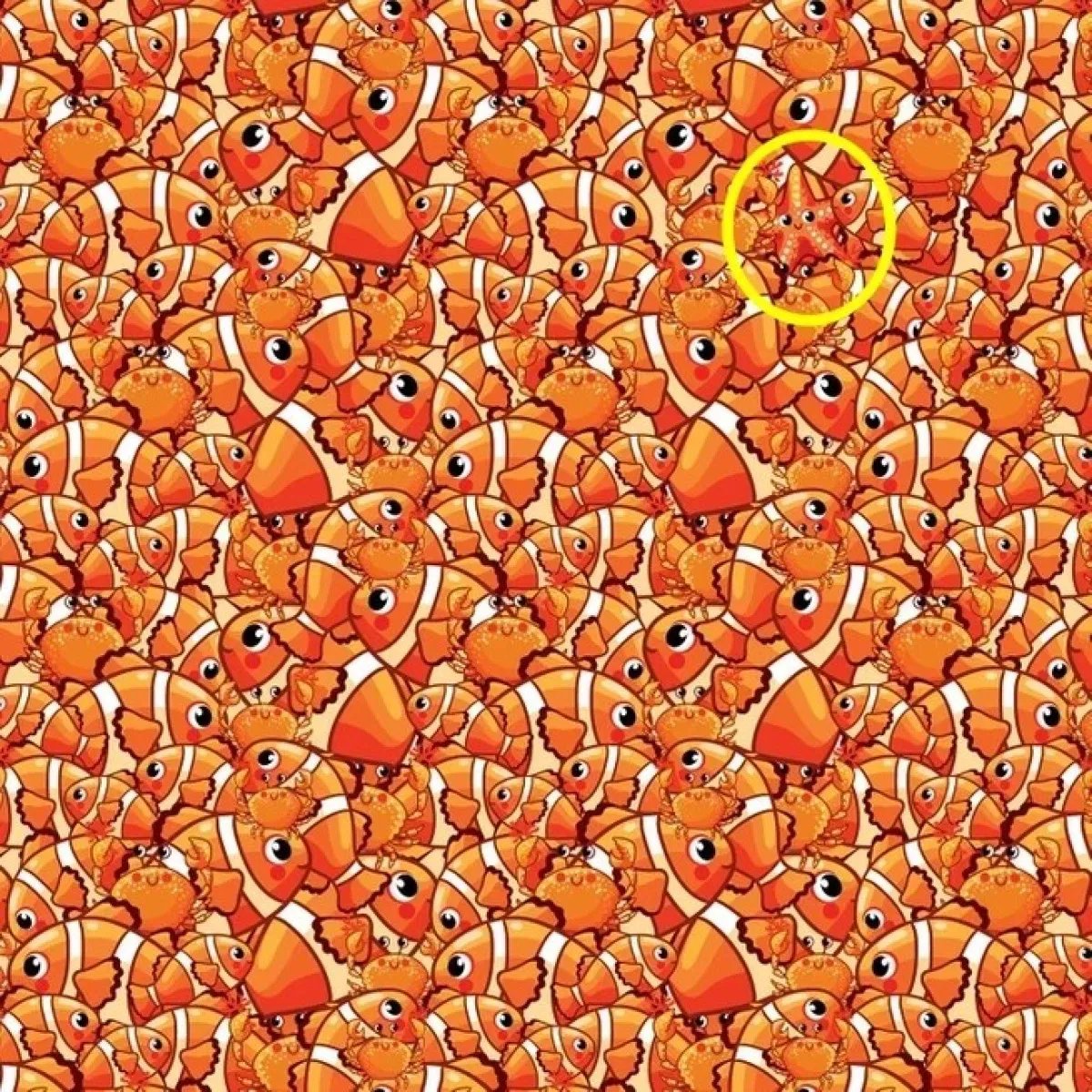 deniz-yildizi-test-yanit