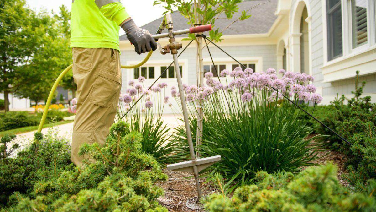 tree-care-scaled-1200x675