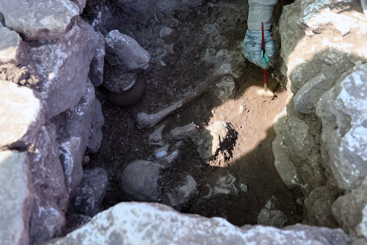 aa-picture-20251001-39283774