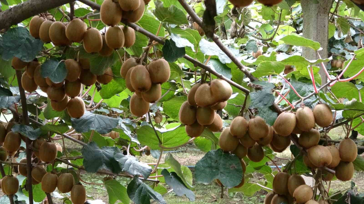 resim-2025-10-02-011152671