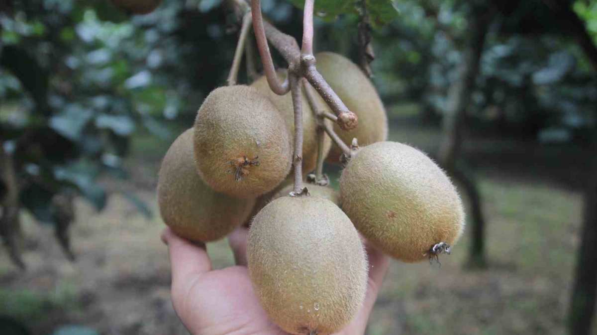 resim-2025-10-02-011220509