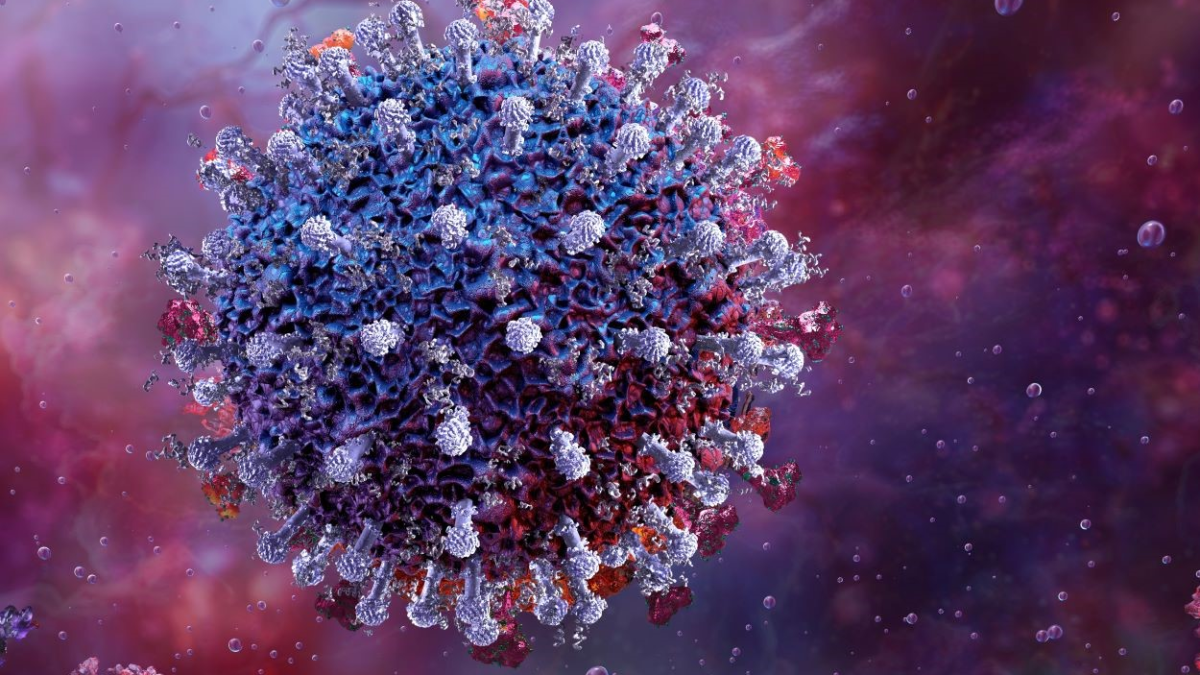 resim-2025-10-02-141149997