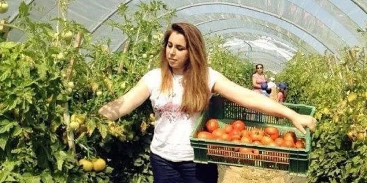 seher-dilovan-domates