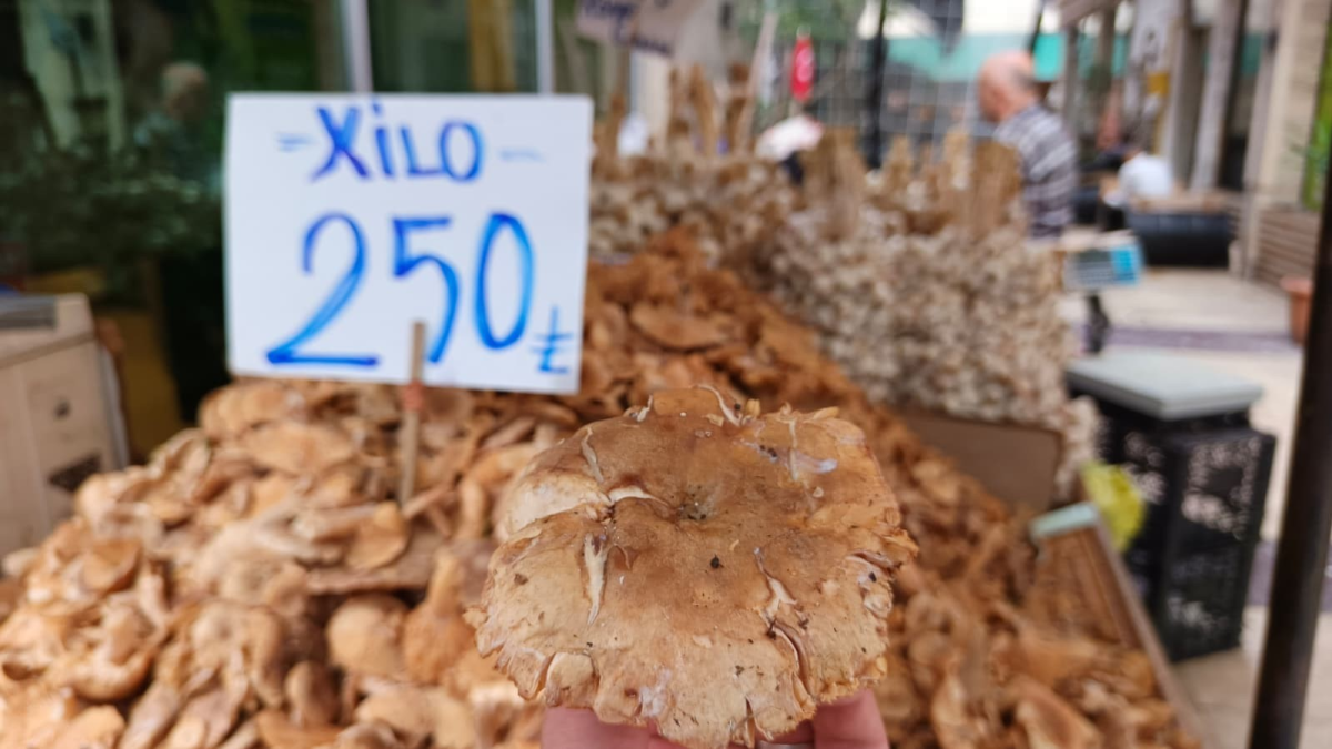 resim-2025-10-03-010332525