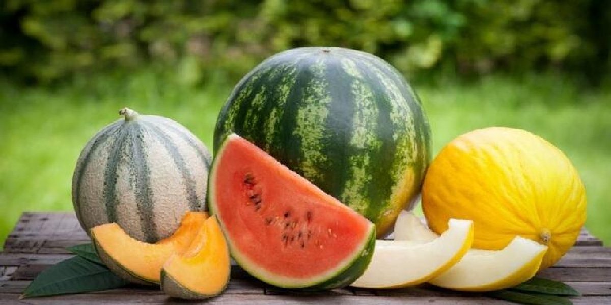 kavun-karpuz.jpg
