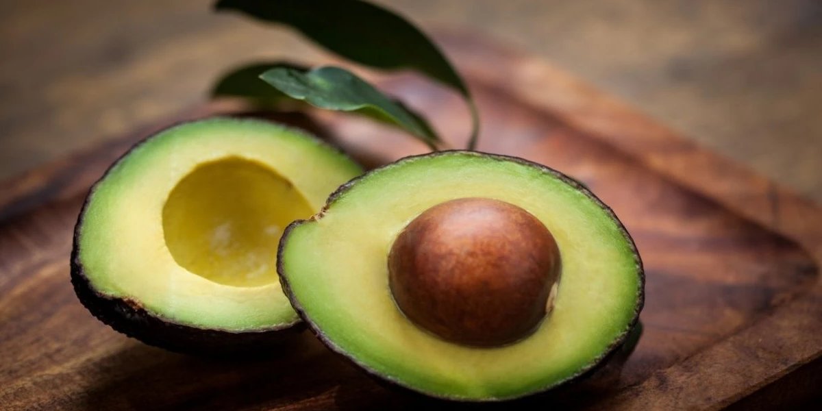 avokado-2.jpg