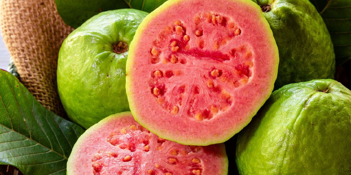 guava-002.jpg