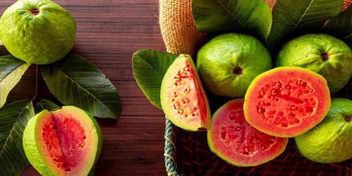 guava-1.jpg