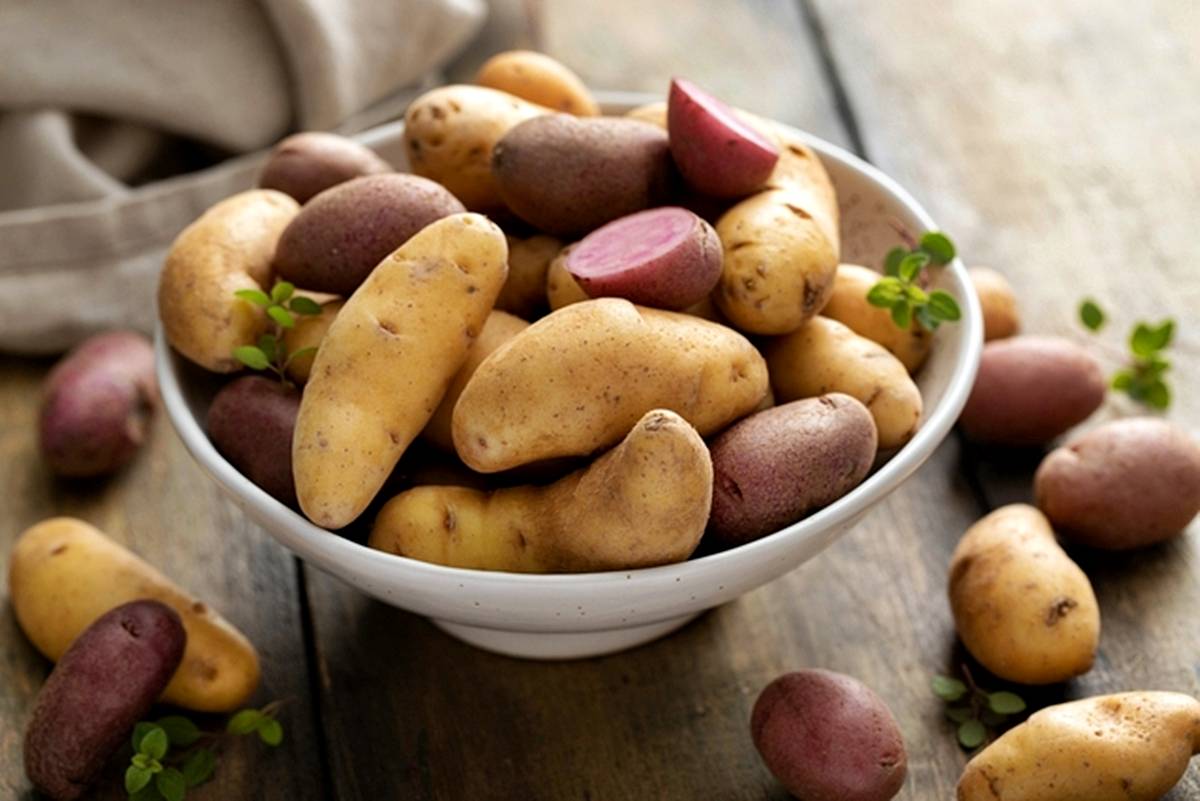 pureden-salataya-firindan-kizartmaya-en-uygun-10-farkli-patates-turu-3.jpg