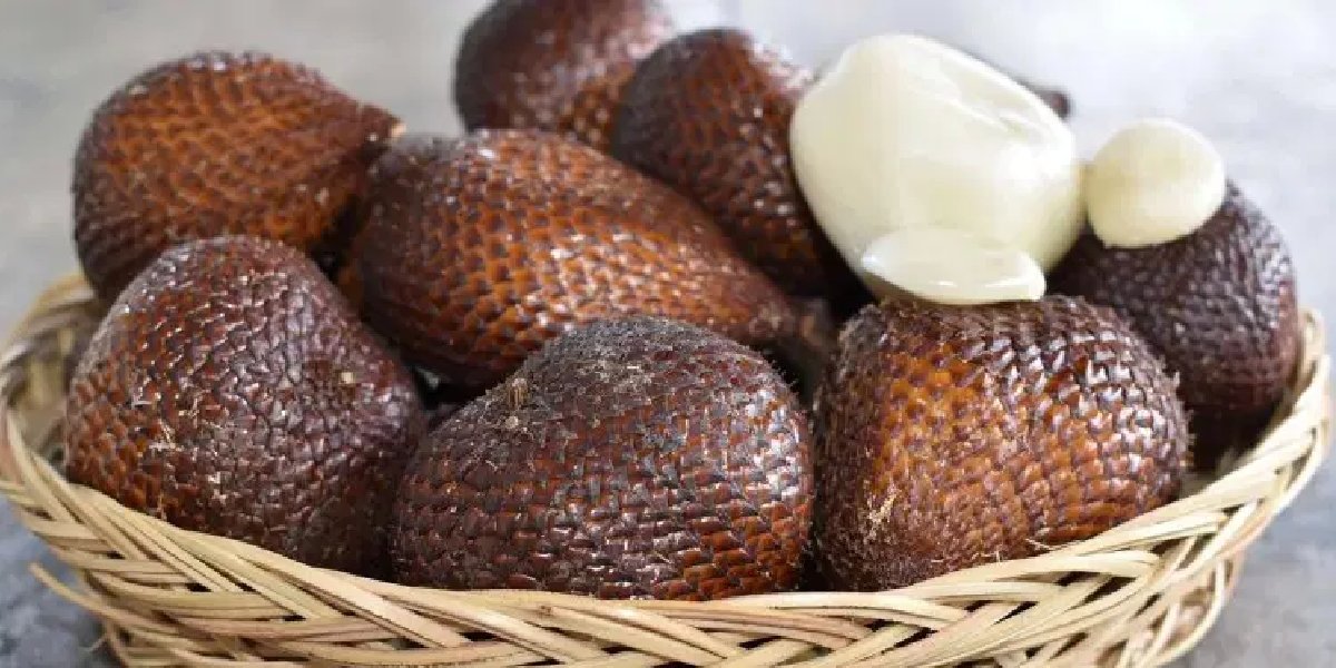 salak-meyve.jpg