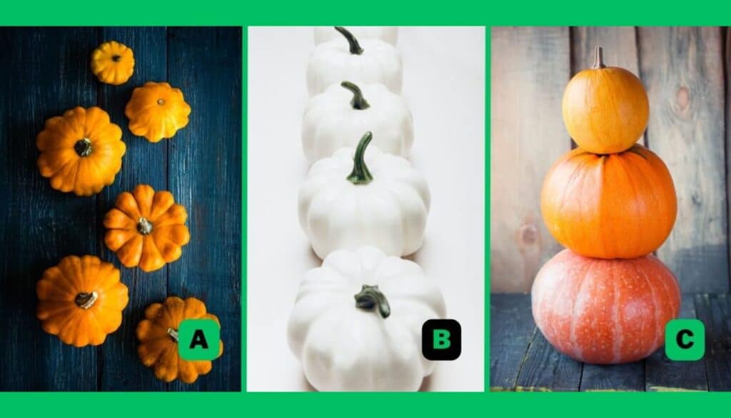 personality-test-choose-a-pumpkin-and-find-out-if-you-1024x585.jpeg