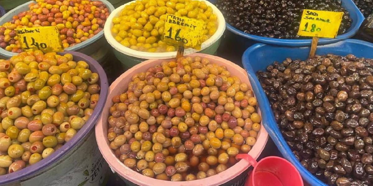 zeytin-alirken-nelere-dikkat-edilmeli-1.jpg