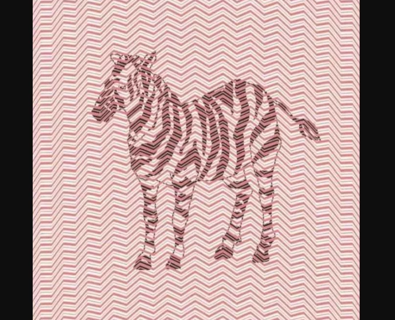 illuzyon-zebra-cozum-xrbi.webp
