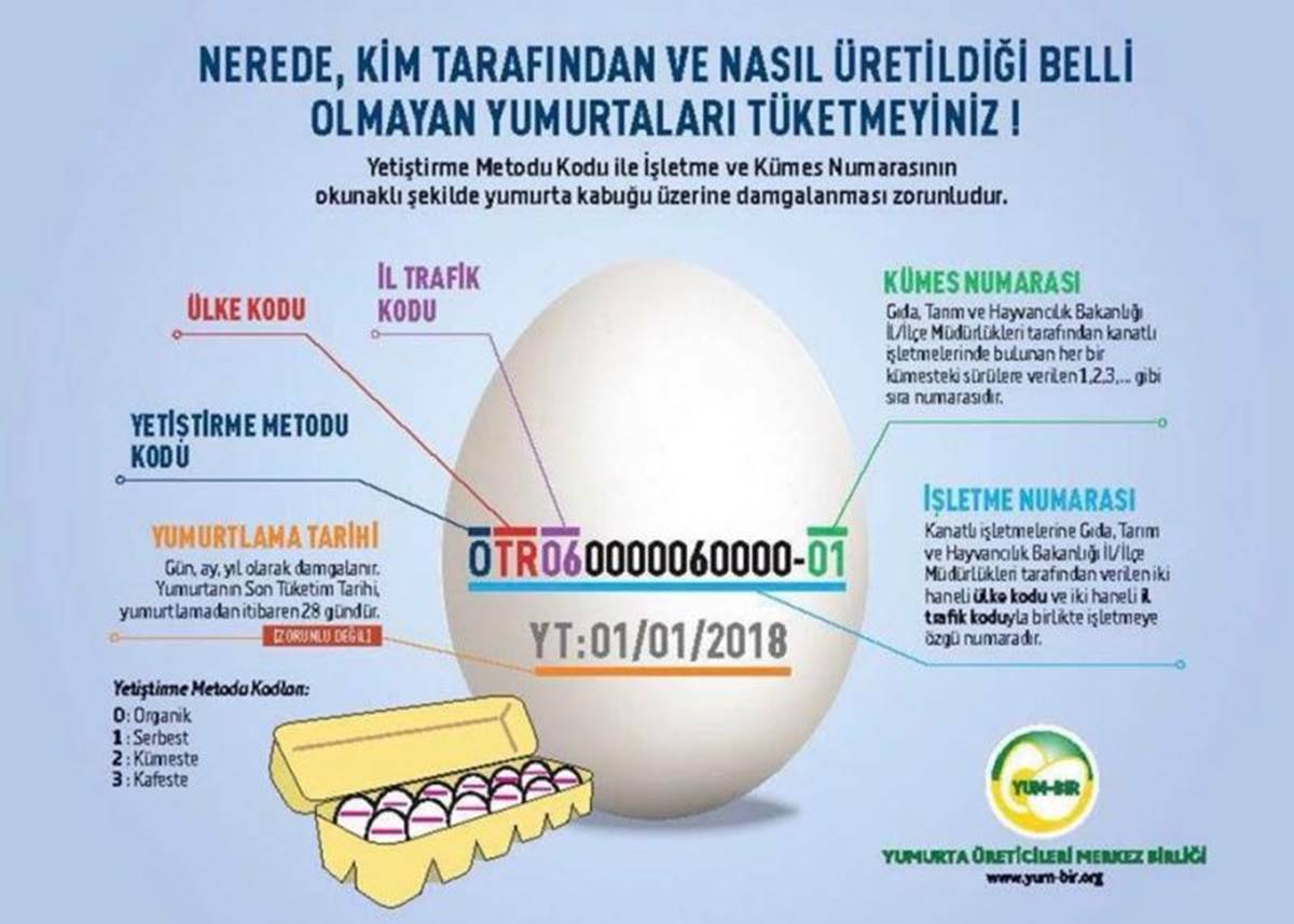 yumurtalarin-uzerindeki-kodlar-ne-anlama-geliyor.jpg