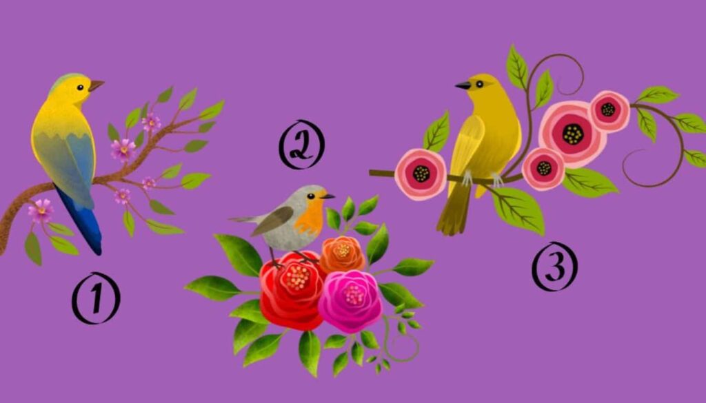 1732766520-personality-test-choose-a-bird-and-find-out-how-you-1024x585.jpg