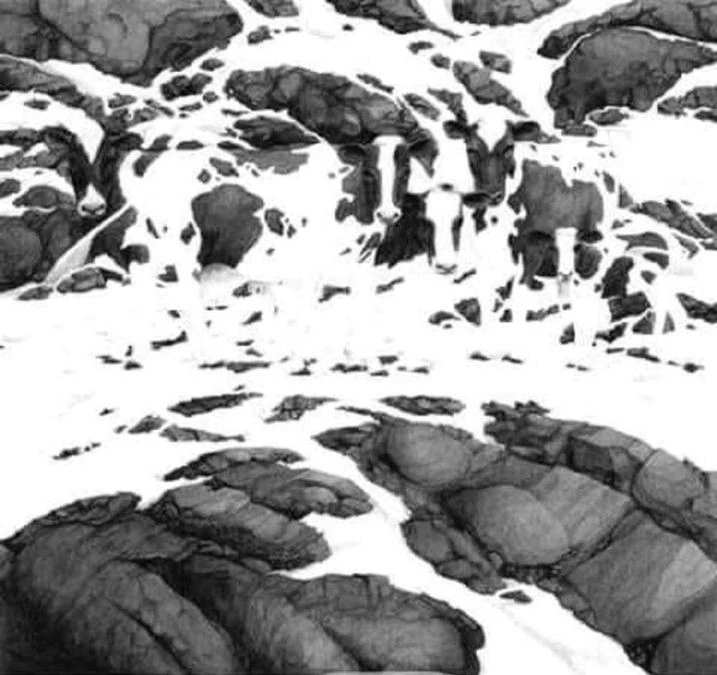 hidden-animals-optical-illusions-co-rc7p.webp
