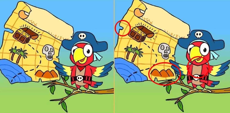 find-3-differences-pirate-parrot-so-jvdh.webp