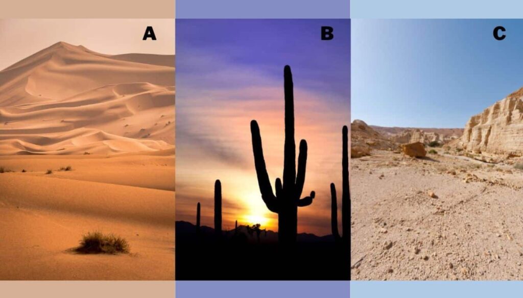 personality-test-choose-your-favorite-desert-and-reveal-your-true-1024x585.jpeg