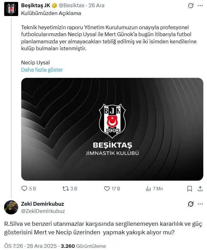 besiktas-2.jpg