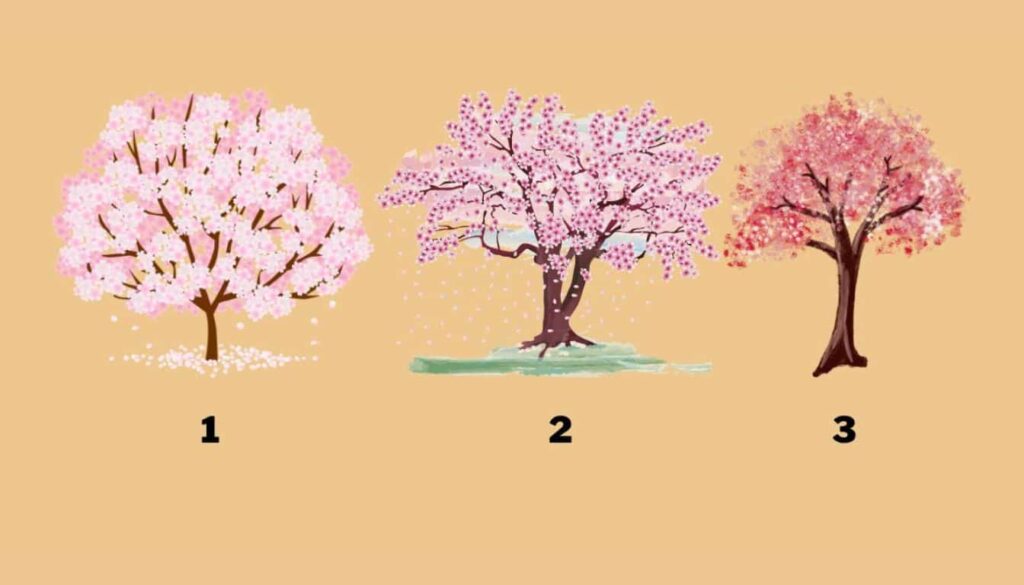 choose-a-pink-tree-and-find-out-how-you-deal-1024x585.jpeg