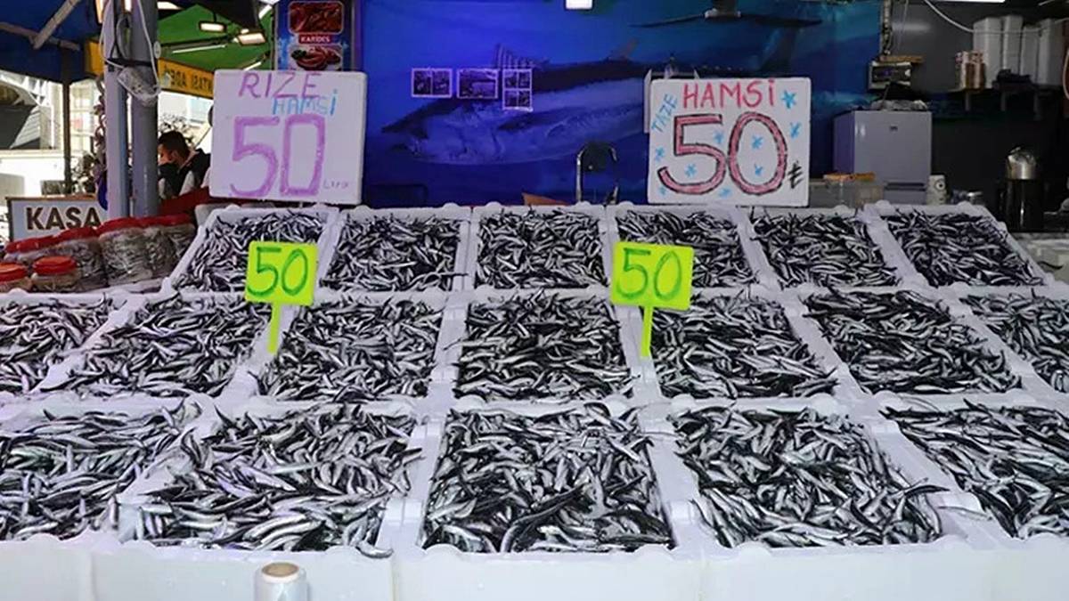 karadenizde-balik-fiyatlari-ne-durumda-3.jpg