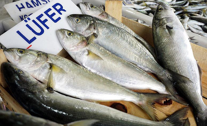 hamsi-lufer-ve-palamut-bol-olacak-h13005-6177b.jpg