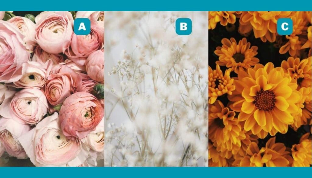 personality-test-choose-a-flower-and-discover-how-creativity-enriches-1024x585.jpeg