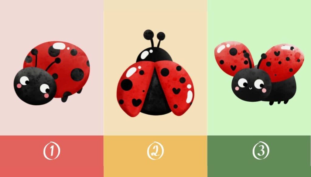 personality-test-choose-a-ladybug-and-discover-your-work-life-balance-1024x585.jpeg