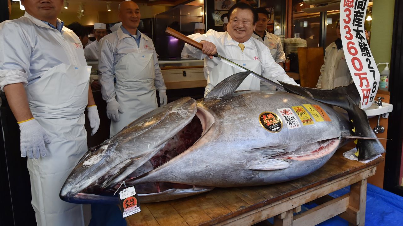 190105142349-01-giant-tuna-0105.jpg