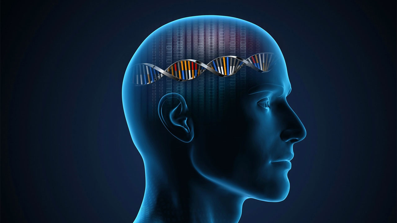 iq-ve-genetik.jpg