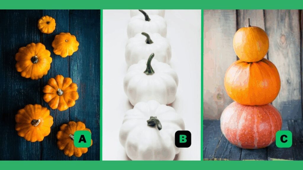 pick-one-of-these-3-pumpkins-and-well-reveal-your-hidden-personality-trait-featured-1763024792-1024x576.jpg