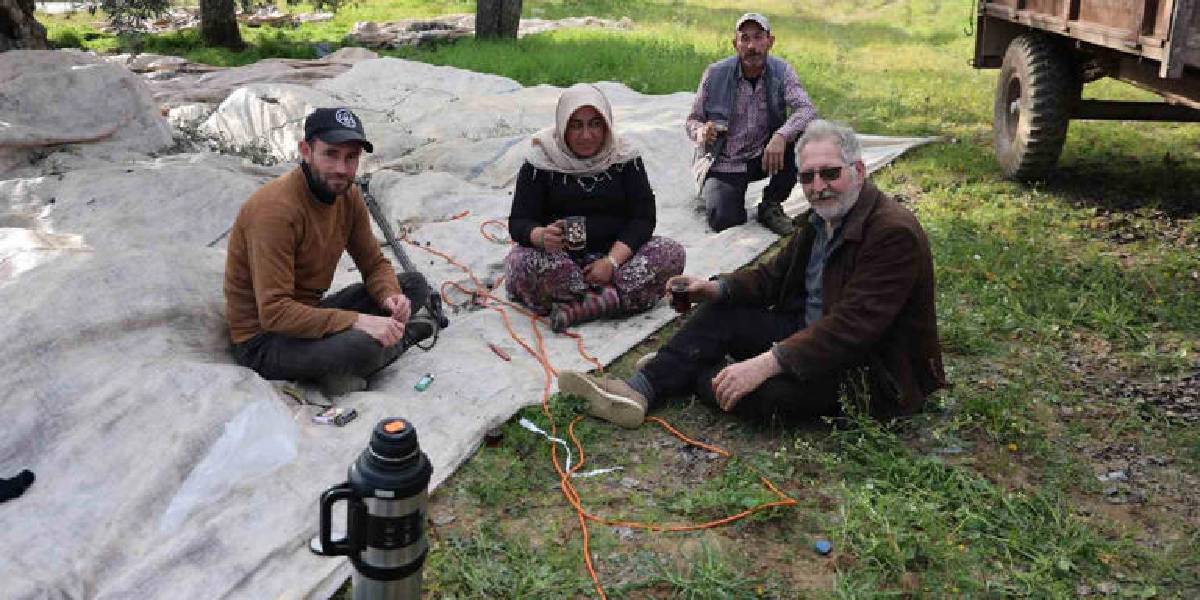 aydinda-zeytin-hasadi-2.jpg