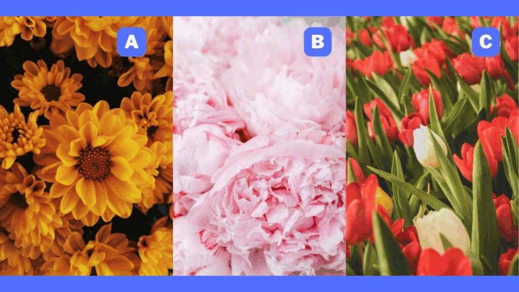 pick-your-favorite-flower-and-well-tell-you-what-makes-you-unique-featured-1763025272-1024x576.jpg