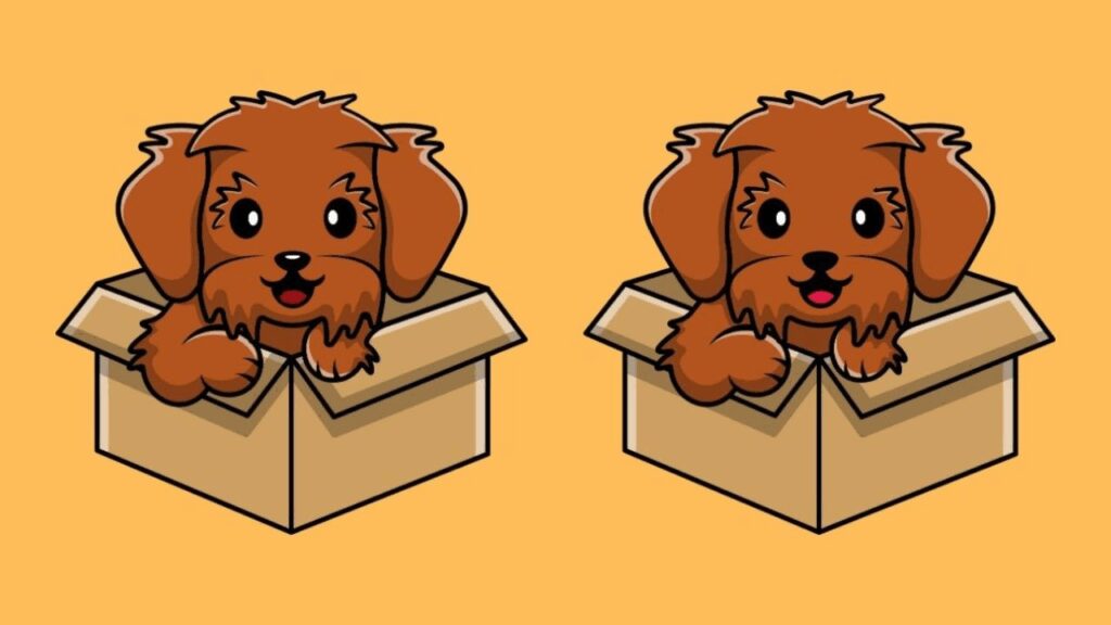 spot-the-difference-can-you-catch-all-3-in-this-dogs-playful-scene-in-less-than-20-seconds-featured-1763401350-1024x576.jpg