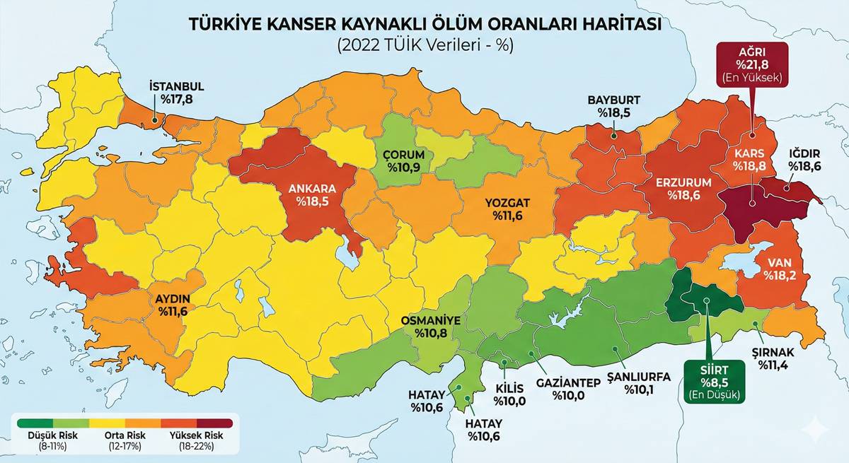 turkiye-kanser-haritasi.jpg