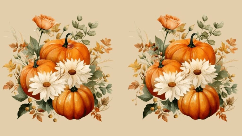 spot-the-difference-can-you-find-all-4-in-these-autumnal-images-in-less-than-23-seconds-featured-1763401112-1024x576.jpg