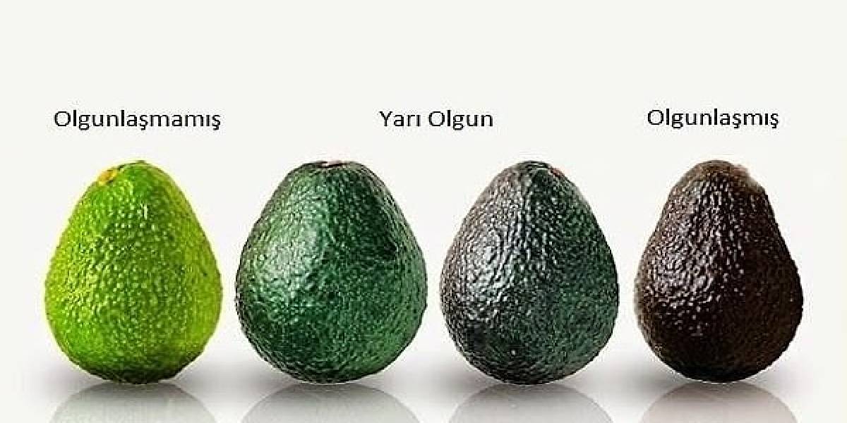 avokadonun-oldugunu-nasil-anlariz.jpg