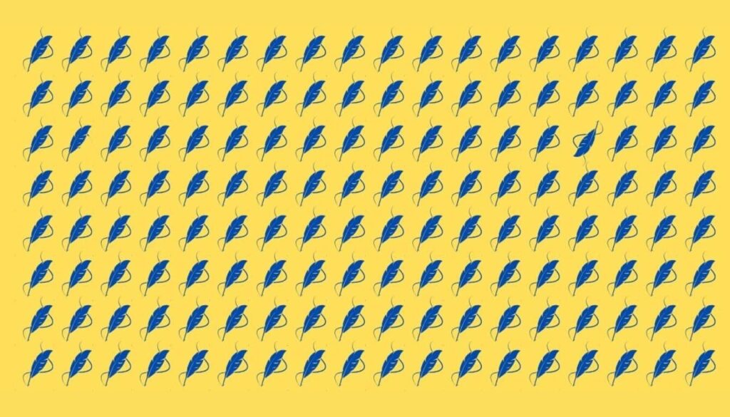do-you-have-eagle-eyesight-find-2-different-feathers-in-1024x585.jpeg