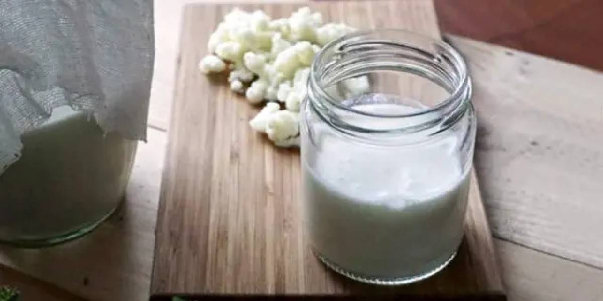 kefir.jpg