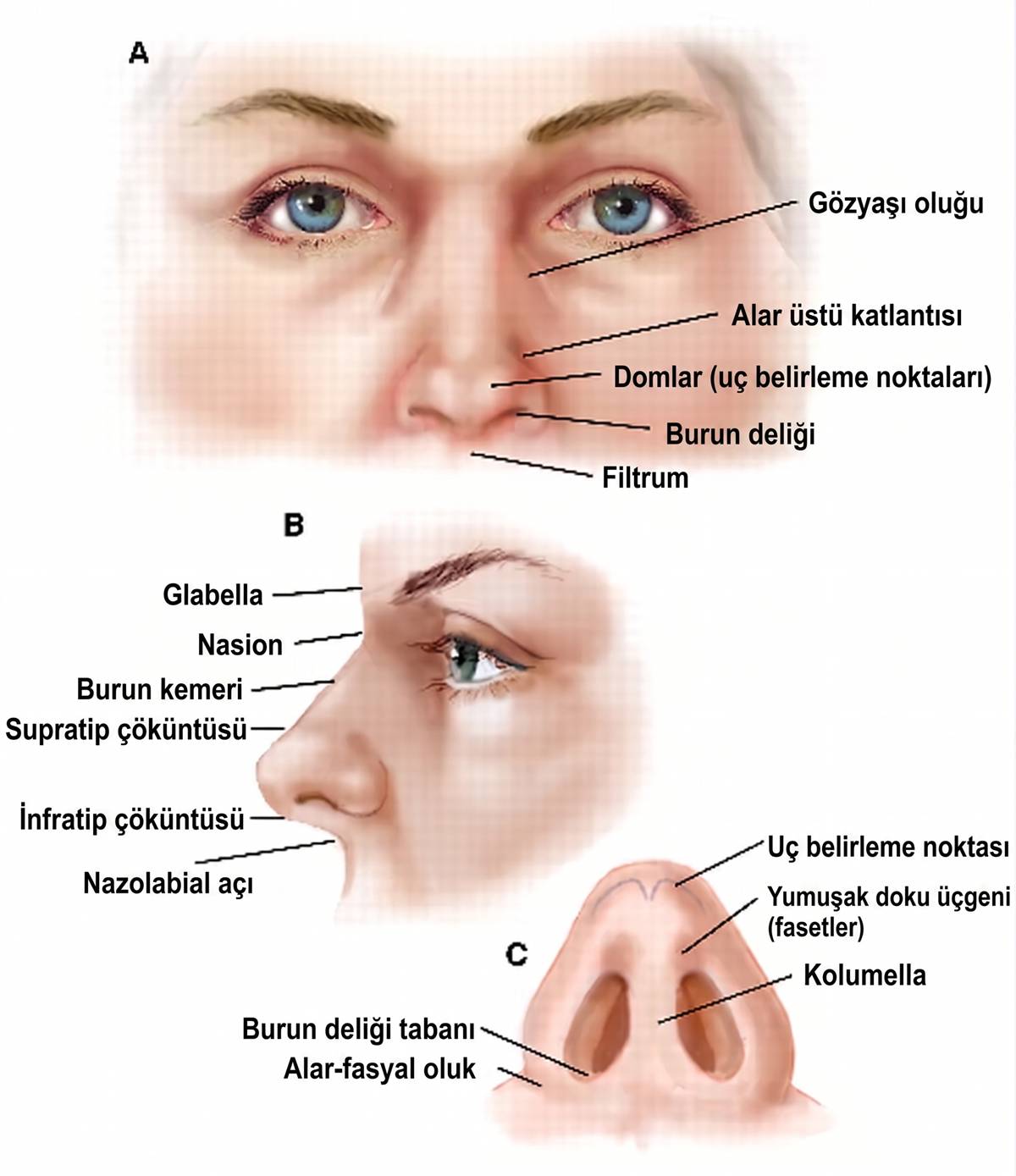 yuz-hatlari.jpg