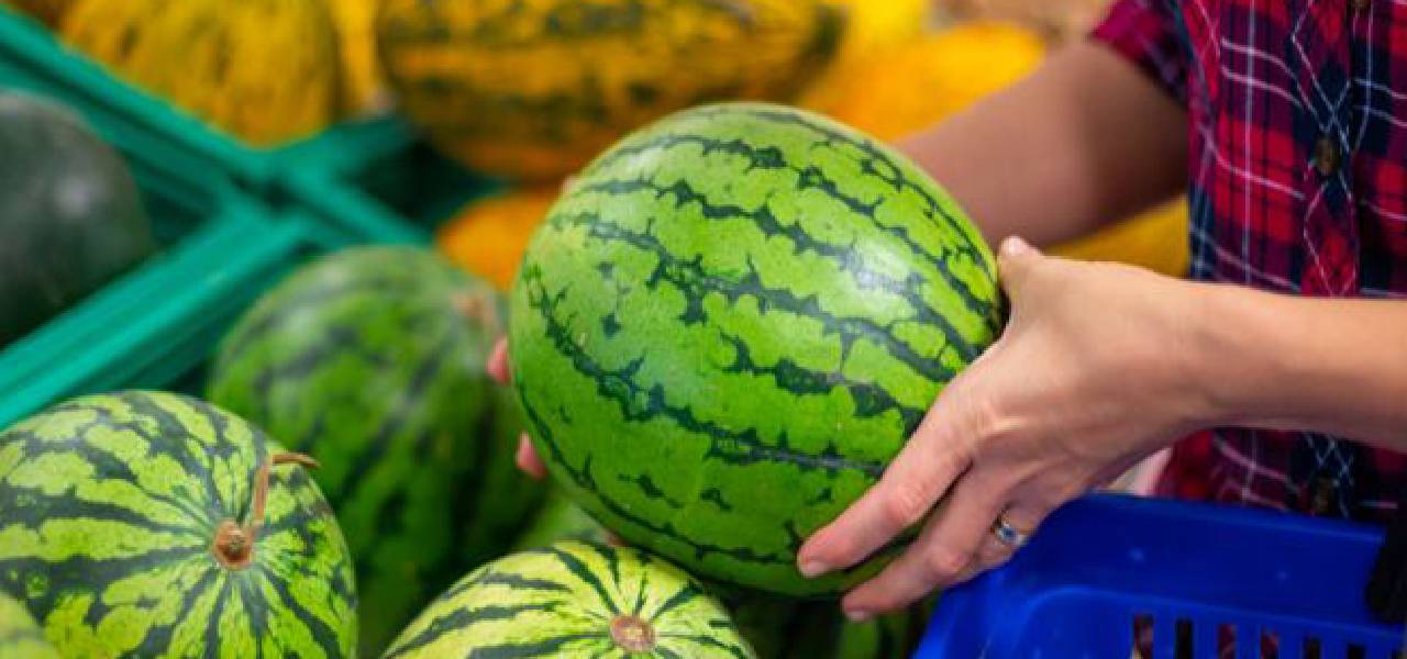 karpuz-nasil-secilir.jpg