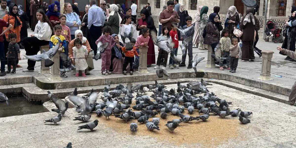 balikligole-ziyaretci-akin-ediyor-2.jpg
