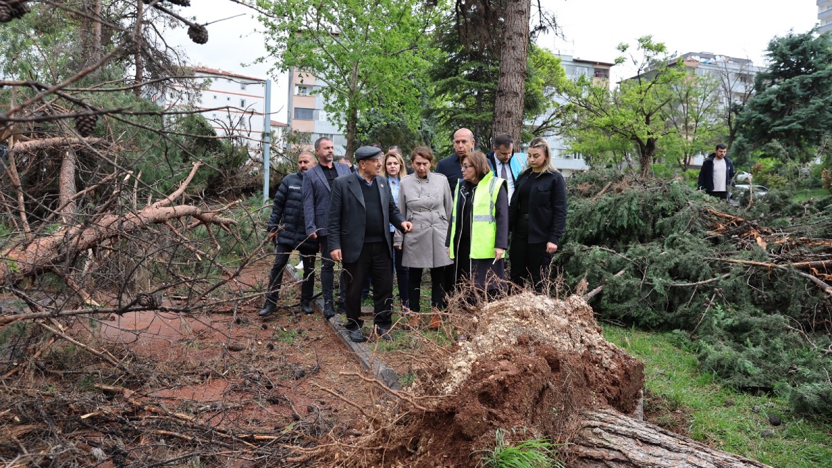 yeni-proje-2-002.jpg