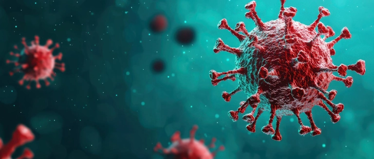 hantavirus.webp